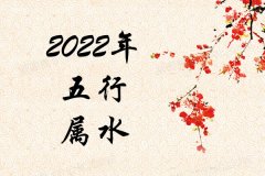2022Ќʲô2022ʲô