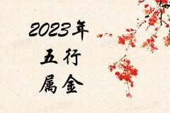 2023Ќʲô2023ʲô