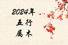 2024Ќʲô2024ʲô