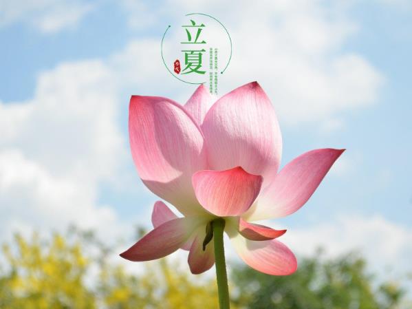 立夏習(xí)俗，民間在立夏時(shí)都有哪些習(xí)俗？