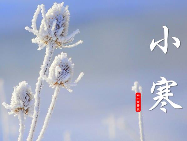 СʲôrСǎ