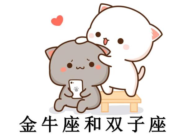 金牛座和雙子座配嗎