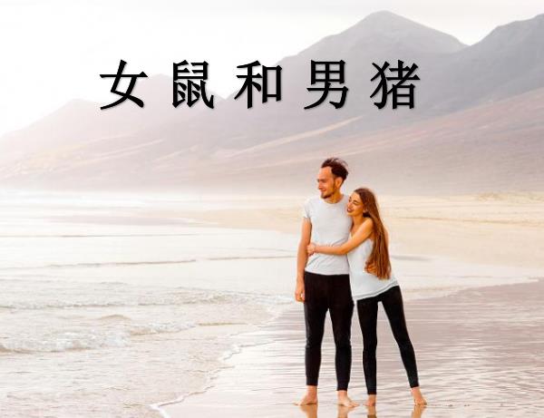 女鼠和男豬配嗎