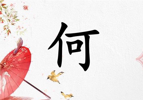 姓何女孩起名五行屬金兩個字名字_姓何女孩屬金100分兩個字名字