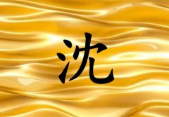姓沈女孩起名五行屬金兩個(gè)字名字_姓沈女孩屬金100分兩個(gè)字名字