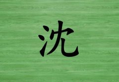 姓沈女孩起名五行屬木兩個(gè)字名字_姓沈女孩屬木100分兩個(gè)字名字