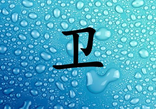 姓衛(wèi)女孩起名五行屬水兩個字名字_姓衛(wèi)女孩屬水100分兩個字名字