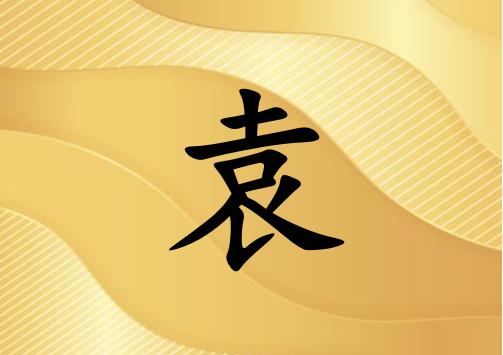 姓袁男孩起名五行屬金兩個字名字_姓袁男孩屬金100分兩個字名字
