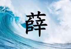 姓薛女孩起名五行屬水兩個(gè)字名字_姓薛女孩屬水100分兩個(gè)字名字