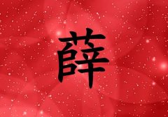 姓薛女孩起名五行屬火兩個(gè)字名字_姓薛女孩屬火100分兩個(gè)字名字