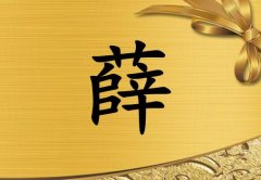 姓薛女孩起名五行屬金兩個(gè)字名字_姓薛女孩屬金100分兩個(gè)字名字