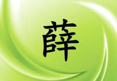 姓薛女孩起名五行屬木兩個(gè)字名字_姓薛女孩屬木100分兩個(gè)字名字