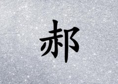 姓郝女孩起名五行屬金兩個(gè)字名字_姓郝女孩屬金100分兩個(gè)字名字