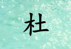 նкЌˮɂ(g)_նкˮ100փɂ(g)