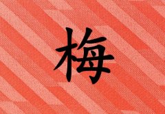 ÷кЌٻɂ(g)_÷кٻ100փɂ(g)