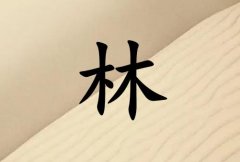 кЌɂ(g)_к100փɂ(g)