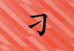 յкЌٻɂ(g)_յкٻ100փɂ(g)