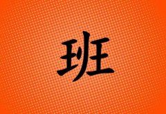 հкЌٻɂ(g)_հкٻ100փɂ(g)