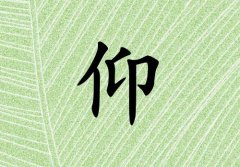 кЌľɂ(g)_кľ100փɂ(g)