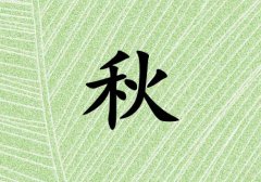 кЌľɂ(g)_кľ100փɂ(g)