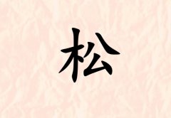 姓松女孩起名五行屬土兩個(gè)字名字_姓松女孩屬土100分兩個(gè)字名字