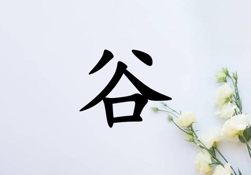 姓谷女孩起名五行屬金兩個(gè)字名字_姓谷女孩屬金100分兩個(gè)字名字