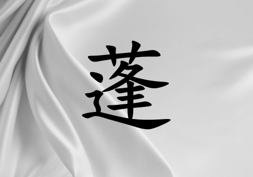 姓蓬女孩起名五行屬金兩個字名字_姓蓬女孩屬金100分兩個字名字