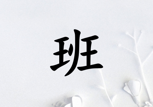 姓班女孩起名五行屬金兩個字名字_姓班女孩屬金100分兩個字名字