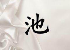 ճкЌٽɂ(g)_ճкٽ100փɂ(g)
