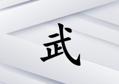 姓武女孩起名五行屬金兩個(gè)字名字_姓武女孩屬金100分兩個(gè)字名字
