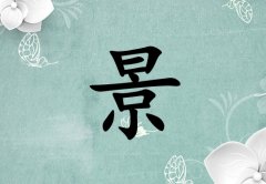 姓景女孩起名五行屬木兩個(gè)字名字_姓景女孩屬木100分兩個(gè)字名字