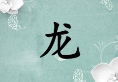 姓龍女孩起名五行屬木兩個(gè)字名字_姓龍女孩屬木100分兩個(gè)字名字