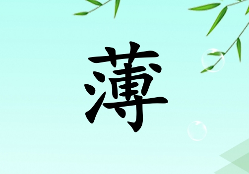 姓薄女孩起名五行屬木兩個字名字_姓薄女孩屬木100分兩個字名字