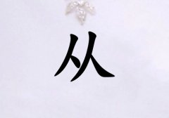 ՏŮЌٽɂ(g)_ՏŮٽ100փɂ(g)