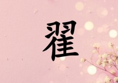 յŮЌٻɂ_յŮٻ100փɂ