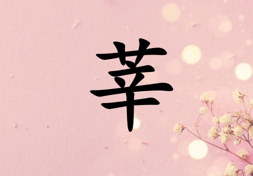 姓莘女孩起名五行屬火兩個(gè)字名字_姓莘女孩屬火100分兩個(gè)字名字
