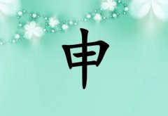 姓申女孩起名五行屬木兩個字名字_姓申女孩屬木100分兩個字名字