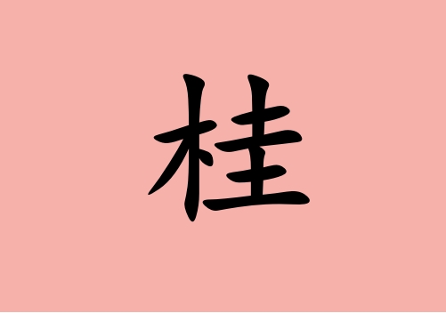 姓桂女孩起名五行屬火兩個(gè)字名字_姓桂女孩屬火100分兩個(gè)字名字