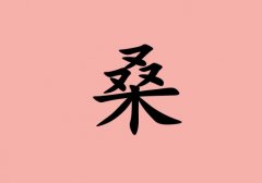 姓桑女孩起名五行屬火兩個(gè)字名字_姓桑女孩屬火100分兩個(gè)字名字