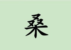 姓桑女孩起名五行屬木兩個(gè)字名字_姓桑女孩屬木100分兩個(gè)字名字