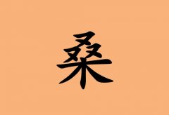 姓桑女孩起名五行屬土兩個(gè)字名字_姓桑女孩屬土100分兩個(gè)字名字
