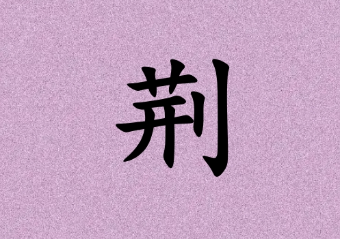 姓荊男孩起名五行屬火兩個(gè)字名字_姓荊男孩屬火100分兩個(gè)字名字