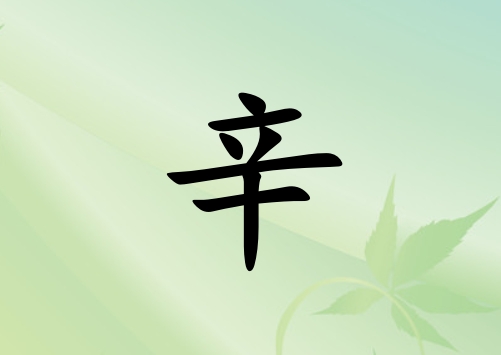 姓辛女孩起名五行屬木兩個字名字_姓辛女孩屬木100分兩個字名字