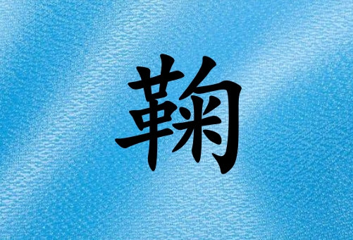 姓鞠女孩起名五行屬水兩個(gè)字名字_姓鞠女孩屬水100分兩個(gè)字名字