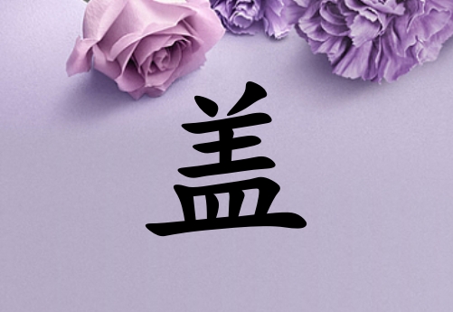 姓蓋男孩起名五行屬土三個(gè)字名字_姓蓋男孩屬土100分三個(gè)字名字