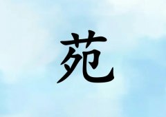 ԷŮЌˮ(g)_ԷŮˮ100(g)