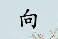 кЌٽ(g)_кٽ100(g)
