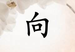 ŮЌٽ(g)_Ůٽ100(g)