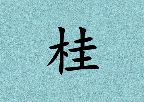 姓桂女孩起名五行屬木三個(gè)字名字_姓桂女孩屬木100分三個(gè)字名字