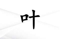 ~ŮЌٽ(g)_~Ůٽ100(g)